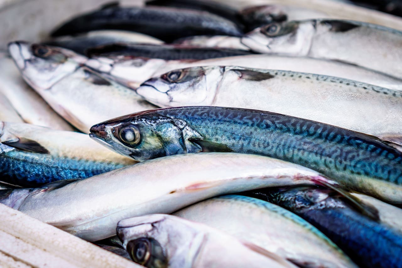 Quels sont les meilleurs poissons d’eau douce pour leurs bienfaits sur la santé ?